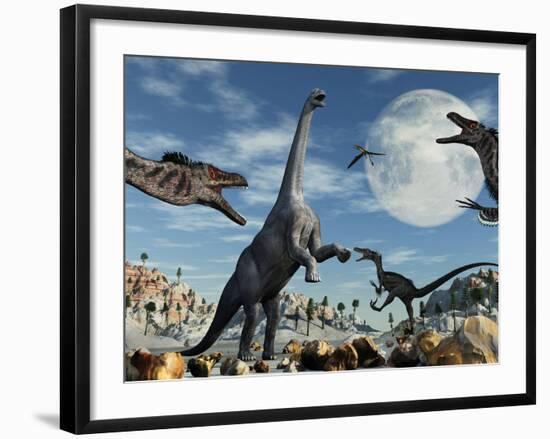 A Lone Camarasaurus Dinosaur Is Confronted by a Pack of Velociraptors-Stocktrek Images-Framed Photographic Print