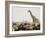 A Lone Giraffe Stands Tall at a Waterhole, Etosha National Park, Namibia, Africa-Wendy Kaveney-Framed Photographic Print