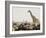 A Lone Giraffe Stands Tall at a Waterhole, Etosha National Park, Namibia, Africa-Wendy Kaveney-Framed Photographic Print