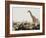 A Lone Giraffe Stands Tall at a Waterhole, Etosha National Park, Namibia, Africa-Wendy Kaveney-Framed Photographic Print