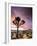 A Lone Joshua Tree Stands Tall In The Desert-Daniel Kuras-Framed Photographic Print