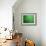 A Lone Kayaker Travels Down the Chicago River after It was Painted Green-null-Framed Photographic Print displayed on a wall