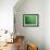 A Lone Kayaker Travels Down the Chicago River after It was Painted Green-null-Framed Photographic Print displayed on a wall