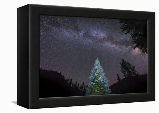 A Lone Lit Pine Tree Glows under the Arch of the Milky Way-null-Framed Premier Image Canvas