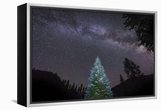 A Lone Lit Pine Tree Glows under the Arch of the Milky Way-null-Framed Premier Image Canvas