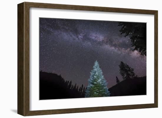 A Lone Lit Pine Tree Glows under the Arch of the Milky Way-null-Framed Photographic Print