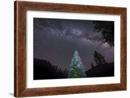 A Lone Lit Pine Tree Glows under the Arch of the Milky Way-null-Framed Photographic Print