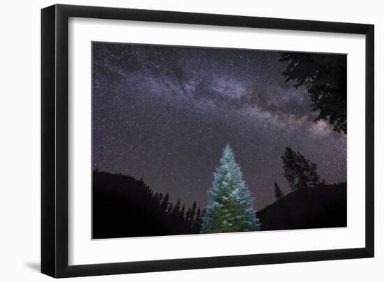 A Lone Lit Pine Tree Glows under the Arch of the Milky Way-null-Framed Photographic Print