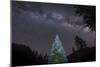 A Lone Lit Pine Tree Glows under the Arch of the Milky Way-null-Mounted Photographic Print