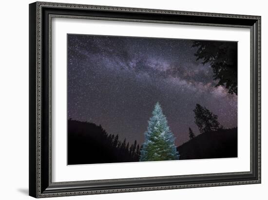 A Lone Lit Pine Tree Glows under the Arch of the Milky Way-null-Framed Photographic Print