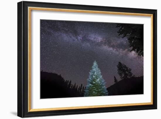 A Lone Lit Pine Tree Glows under the Arch of the Milky Way-null-Framed Photographic Print