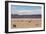 A Lone Llama Stands in a Desert Near the Salar De Uyuni-Alex Saberi-Framed Photographic Print