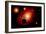 A Lone Planet Orbiting a Cluster of Red Giant Stars-null-Framed Premium Giclee Print