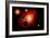 A Lone Planet Orbiting a Cluster of Red Giant Stars-null-Framed Premium Giclee Print