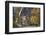 A Lone Timber Wolf or Grey Wolf (Canis Lupus) Standing on a Rocky Cliff Looking Back on a Rainy Day-Jim Cumming-Framed Photographic Print