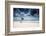 A Lone Tree on the Beach in Jericoacoara, Brazil-Alex Saberi-Framed Photographic Print