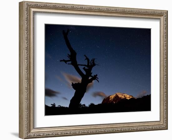 A Lone Tree Silhouetted at Night and the Torres Del Paine Mountains-Alex Saberi-Framed Photographic Print