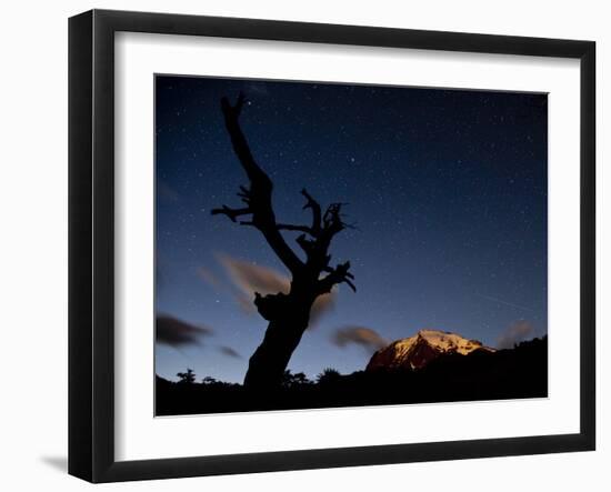 A Lone Tree Silhouetted at Night and the Torres Del Paine Mountains-Alex Saberi-Framed Photographic Print