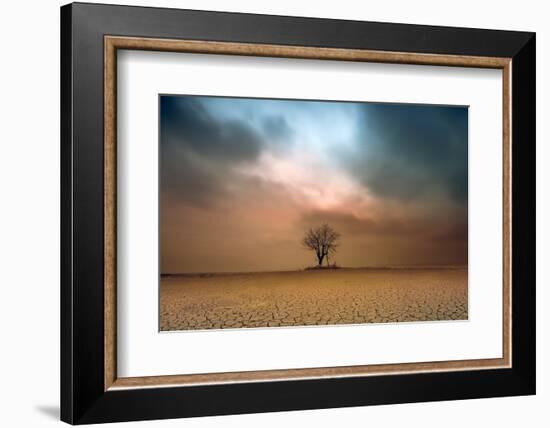 a loner ...-Piotr Krol (Bax)-Framed Photographic Print