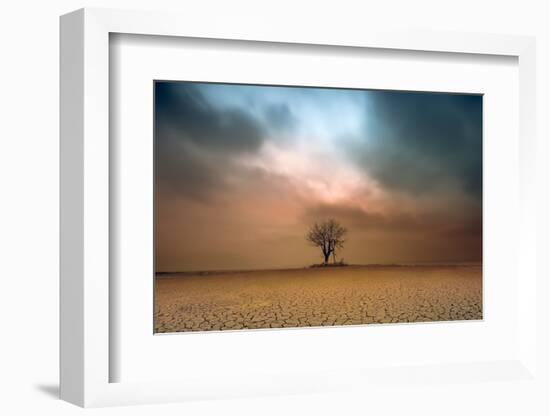 a loner ...-Piotr Krol (Bax)-Framed Photographic Print