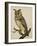 A Long-Eared Owl (Strix Otus)-Christopher Atkinson-Framed Giclee Print