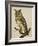 A Long-Eared Owl (Strix Otus)-Christopher Atkinson-Framed Giclee Print