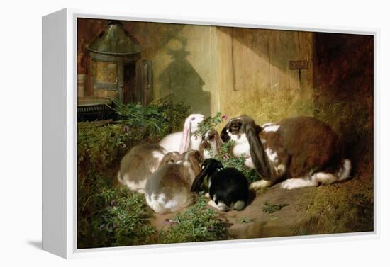 A Lop-Eared Doe Rabbit with Her Young-John Frederick Herring I-Framed Premier Image Canvas