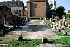 The Basilica Aemilia, Rome, Italy-A Lorenzini-Photographic Print