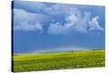 Stretched Canvas Print