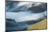 A Low-Hanging Mist in the Early Morning over Sao Francisco Xavier's Rolling Hills and Farmland-Alex Saberi-Mounted Photographic Print