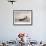 A Lowestoft Herring Boat Ploughing Through a Moderate Swell in the North Sea, 1935-null-Framed Photographic Print displayed on a wall