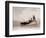 A Lowestoft Herring Boat Ploughing Through a Moderate Swell in the North Sea, 1935-null-Framed Photographic Print