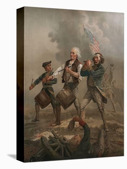 Stretched Canvas Print, , large