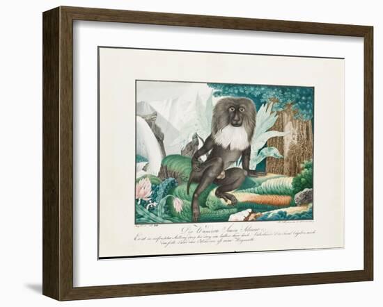 A Macaque, 1837-Aloys Zotl-Framed Giclee Print