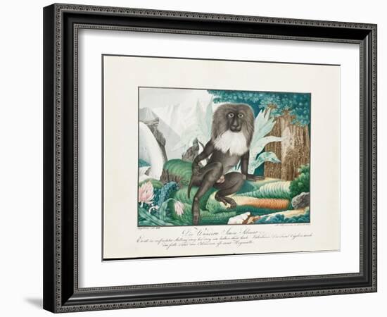 A Macaque, 1837-Aloys Zotl-Framed Giclee Print