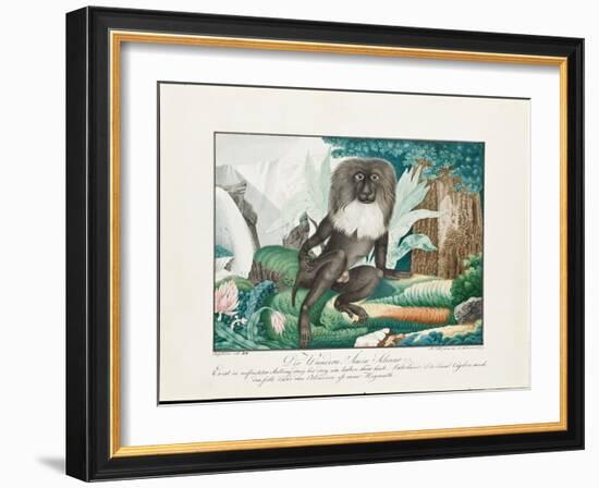 A Macaque, 1837-Aloys Zotl-Framed Giclee Print