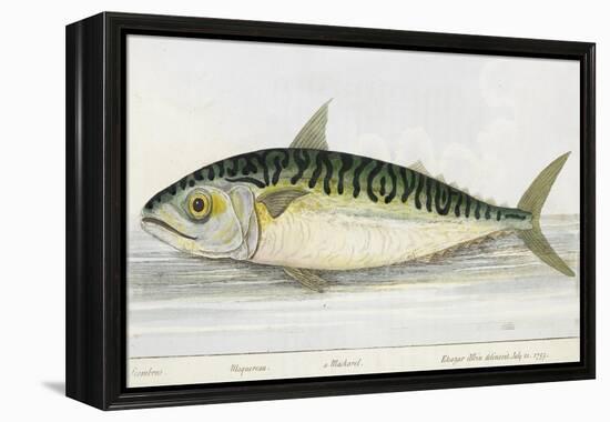 A Mackerel-E. Albin-Framed Premier Image Canvas