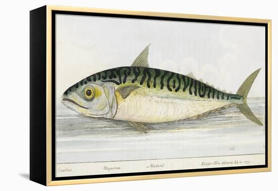 A Mackerel-E. Albin-Framed Premier Image Canvas