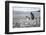 A magellanic penguin on Martillo Island, Tierra del Fuego, Argentina, South America-Nando Machado-Framed Photographic Print