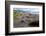 A magellanic penguin on Martillo Island, Tierra del Fuego, Argentina, South America-Nando Machado-Framed Photographic Print