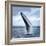 A Magnificent Humpback Whale in an Upright Position with Splashes Jumped to the Surface Close-Up-Vladimir Turkenich-Framed Photographic Print