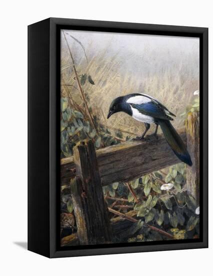 A Magpie Observing Fieldmice-Johan Gerard Keulemans-Framed Premier Image Canvas