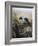 A Magpie Observing Fieldmice-Johan Gerard Keulemans-Framed Giclee Print