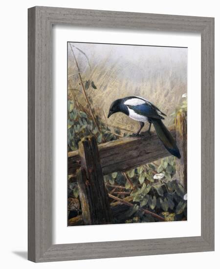 A Magpie Observing Fieldmice-Johan Gerard Keulemans-Framed Giclee Print