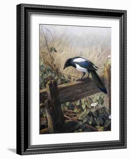 A Magpie Observing Fieldmice-Johan Gerard Keulemans-Framed Giclee Print