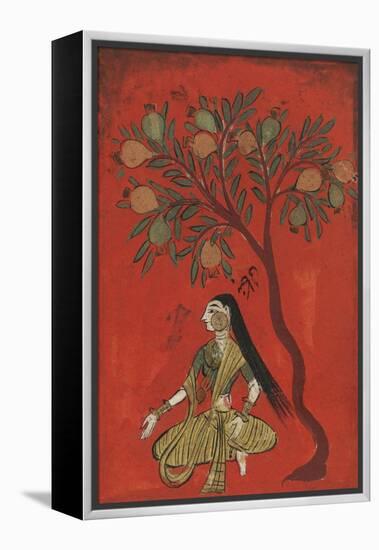 A Maiden Seated Beneath a Pomergranate Tree-null-Framed Premier Image Canvas