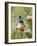 A Malachite Sunbird on a Protea Flower at 9,750 Feet on the Moorlands of Mount Kenya-Nigel Pavitt-Framed Photographic Print