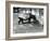 A Malayan Tapir with its 4 Day Old Baby at London Zoo, July 1921-Frederick William Bond-Framed Photographic Print