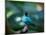 A Male Green Honeycreeper, Chlorophanes Spiza, in Atlantic Rainforest, Brazil-Alex Saberi-Mounted Photographic Print