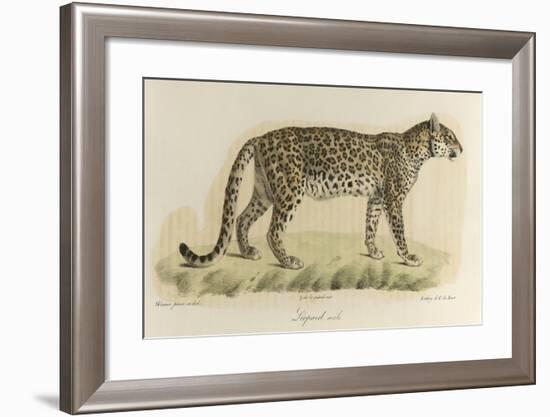 A Male Leopard-null-Framed Giclee Print